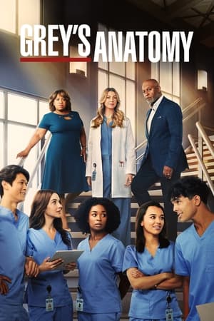 Grey's Anatomy streaming